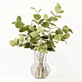Fresh Green Eucalyptus Leaves In Transparent Glass Vase For Home Decor