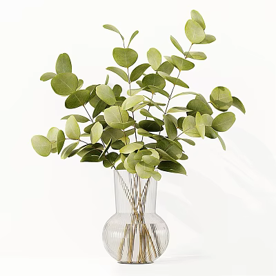 Fresh Green Eucalyptus Leaves In Transparent Glass Vase For Home Decor 3d model
