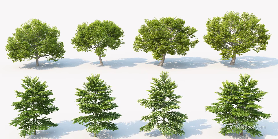 Various Green Arbor Trees With Different Foliage Shapes And Lush Canopies 3d model