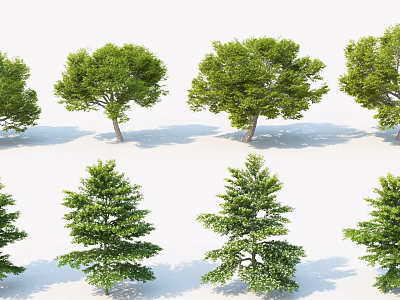 Various Green Arbor Trees With Different Foliage Shapes And Lush Canopies 3d model