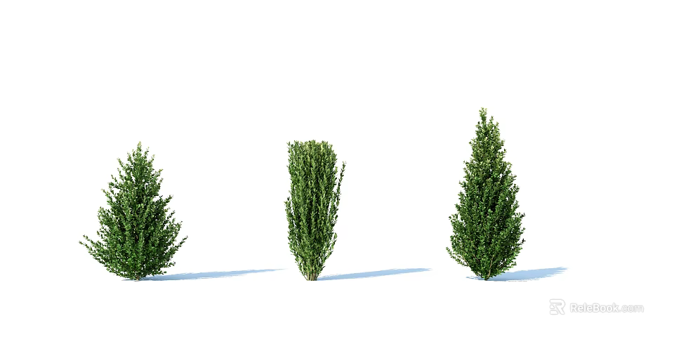 Three Healthy Green Lush Shrubs Featuring Different Shapes and Dense Foliage 3d model 