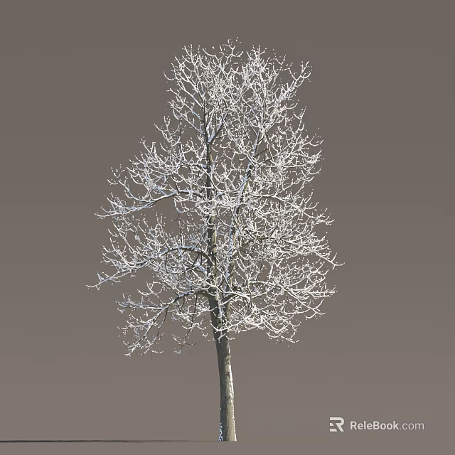 Tall Arbor With Snow Covered Bare Branches Against Brown Background 3d model