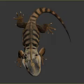 Iguana With Orange And Black Stripes Frilled Neck Sharp Claws And Long Tail