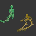 3D Rendered Human Skeleton Models Displaying Sitting And Lying Organ Structures