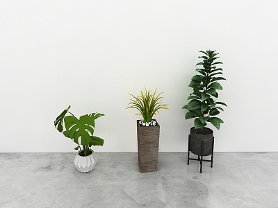 green plant model