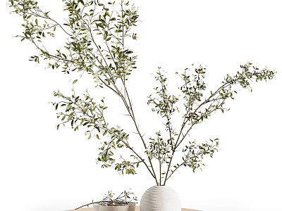 White Vase with Green Leafy Branches Displayed on Wooden Table Against White Background 3d model