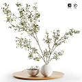 White Vase with Green Leafy Branches Displayed on Wooden Table Against White Background