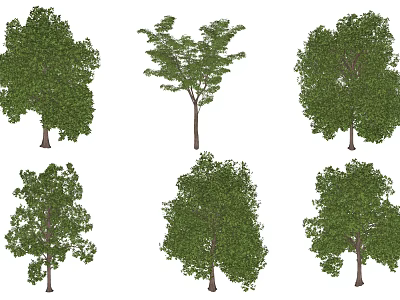 Various Arbor Trees With Different Green Foliage Crown Shapes And Trunk Structures 3d model
