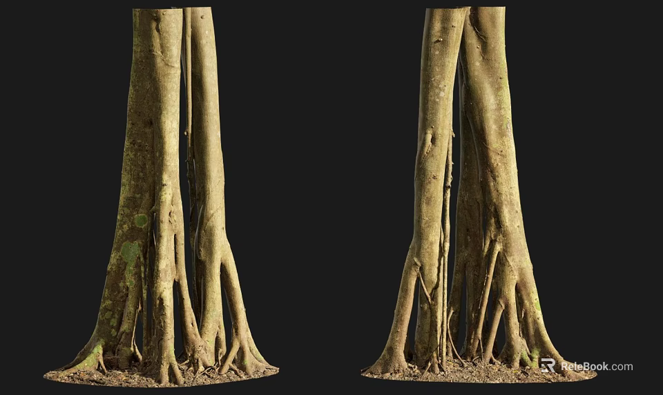 Detailed Natural Stone Wood Trunk Displaying Developed Roots And Textured Surface 3d model 