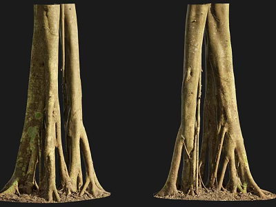 Detailed Natural Stone Wood Trunk Displaying Developed Roots And Textured Surface 3d model