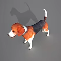 Tri Color Beagle Dog Standing On Gray Background With Shadow 3d model