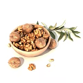 Fresh Walnuts in Wooden Bowl with Whole Nuts Kernel Pieces and Olive Leaves