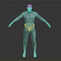 Detailed 3D Character Model Featuring Wireframe Texture In Standing Pose