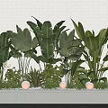 Green Leafy Potted Plants Arrangement In Long Container With Decorative Stones And Warm Lights