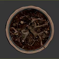 Potted Leafless Tree Plant In Blue Brown Geometric Pattern Pot With Gray Background