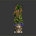 Colorful Potted Plants With Various Flowers Green Leaves And Decorative Golden Pots