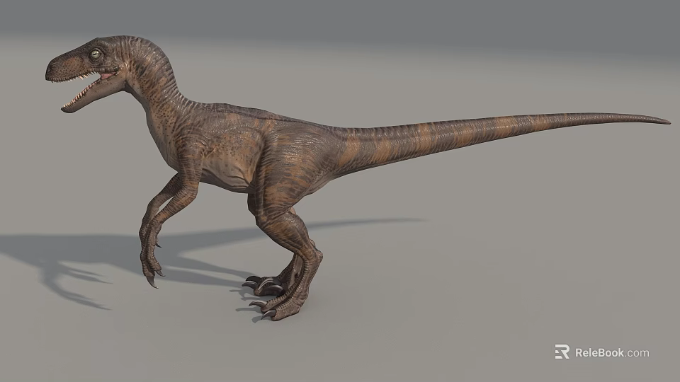Realistic Standing Reptile Dinosaur With Brown Skin Long Tail And Sharp Claws 3d model 