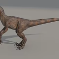 Realistic Standing Reptile Dinosaur With Brown Skin Long Tail And Sharp Claws