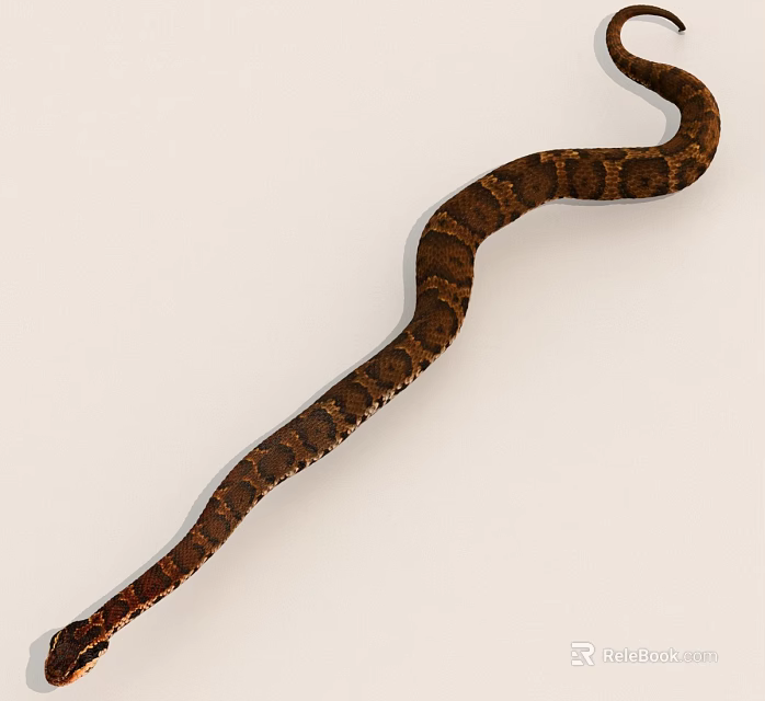 Long Brown Snake With Spotted Pattern Slithering On White Background 3d model 