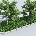 Lush Green Shrubs Arrangement With Stone Border And Surrounding Trees 3d model