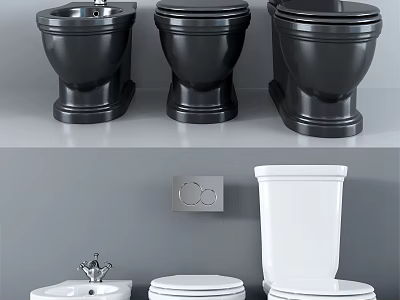Modern Stylish Black And White Toilets In Bathroom Interior Design 3d model