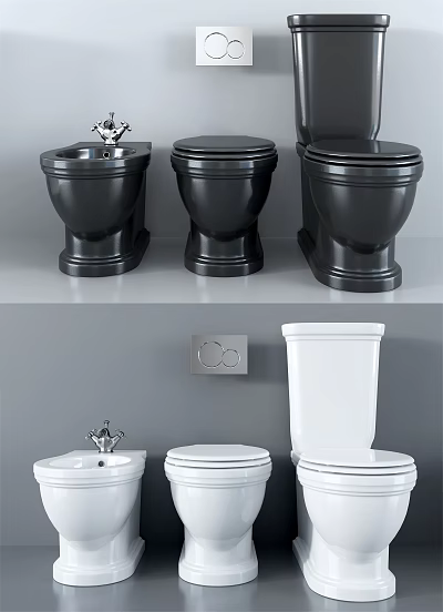 Modern Stylish Black And White Toilets In Bathroom Interior Design 3d model