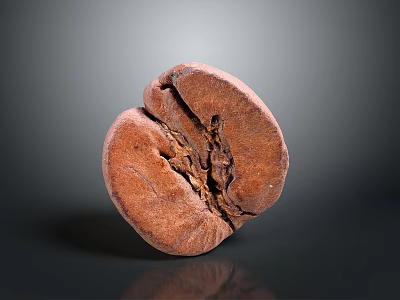 Close Up View Of Split Roasted Coffee Bean With Rich Texture And Glossy Surface 3d model