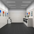 Laundry Room Interior With Washing Machines Flower Vases Posters And Bright Window