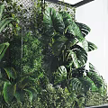 Lush Indoor Landscape With Diverse Green Plants Metal Grid Background And Transparent Ceiling