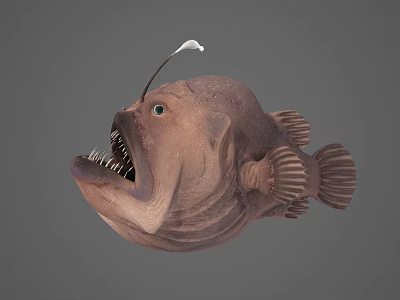 Anglerfish With Large Mouth Sharp Teeth And White Lure On Brown Body 3d model