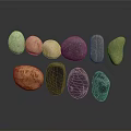 Various Colored Stones And Wood Pieces With Unique Shapes And Textures