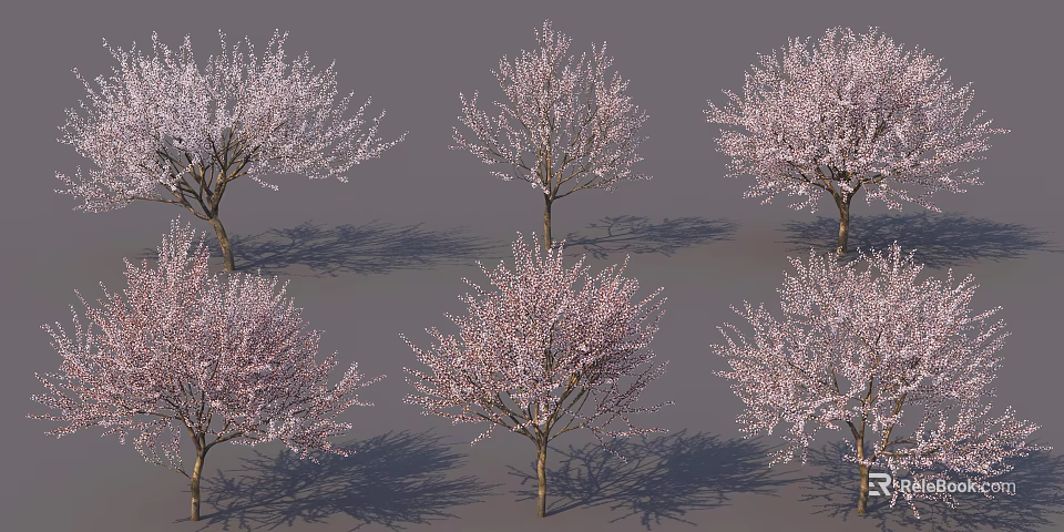Six Flowering Trees With Pink Blossoms And Long Trunks Casting Shadows 3d model 