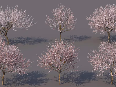 Six Flowering Trees With Pink Blossoms And Long Trunks Casting Shadows 3d model