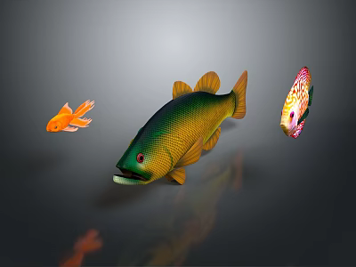 Colorful Tropical Fish Collection With Orange Goldfish Green Yellow And Patterned Varieties 3d model