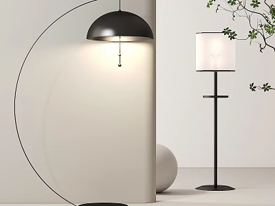 Modern Floor Lamps With Black Dome And White Shade Near White Wall And Green Plant 3d model