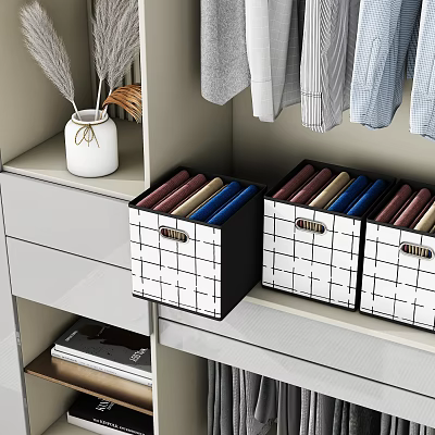 Modern Storage Box Wardrobe Clothes Storage Box 3d model