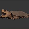 Brown Reptile Turtle With Open Mouth And Hard Shell On Gray Background 3d model