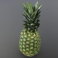 Fresh Green Whole Pineapple With Leafy Top And Vibrant Healthy Exterior