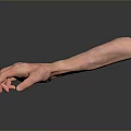 Detailed Human Arm And Hand 3D Render With Skin Texture On Dark Background And Reflection