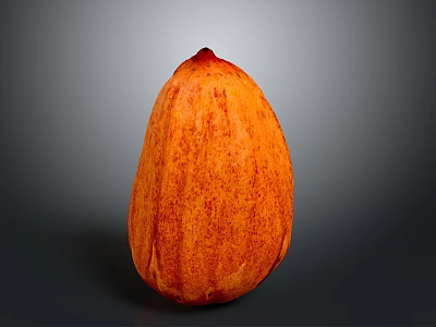 Fresh Ripe Orange Mango Fruit with Textured Skin on Dark Background 3d model