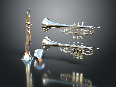 Three Silver Trumpets with Mouthpiece and Cork on Shiny Black Surface with Reflections 3d model