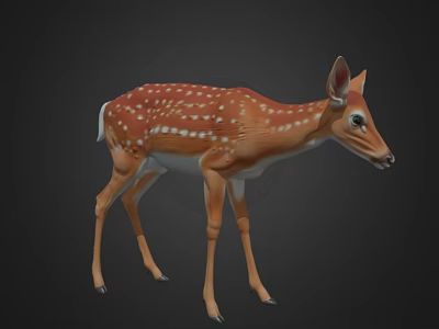Realistic Brown Fawn With White Spots Standing Gracefully On Black Background 3d model