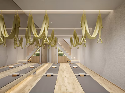 Spacious Yoga Studio Interior With Aerial Yoga Hammocks Yoga Mats And Wooden Floors 3d model
