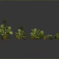 Various Green Plants with Different Shapes and Sizes for Garden or Indoor Use