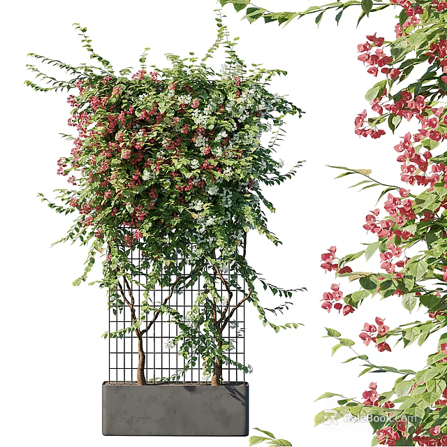Shower Sauna Space With Climbing Plants And Flower Trellis Decor 3d model 