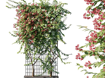 Shower Sauna Space With Climbing Plants And Flower Trellis Decor 3d model