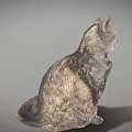 Detailed Brown And White Cat Sitting With Fluffy Fur And Alert Ears On Gray Background