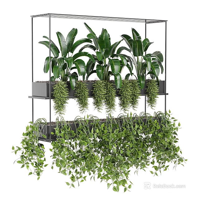 Hanging Planters With Lush Green Trailing Plants Suspended Multiple Layers For Indoor Decoration 3d model 