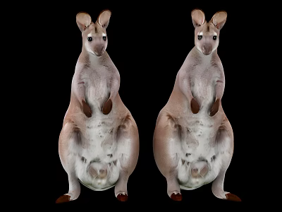 Two Kangaroos Standing Upright Side By Side On Black Background 3d model