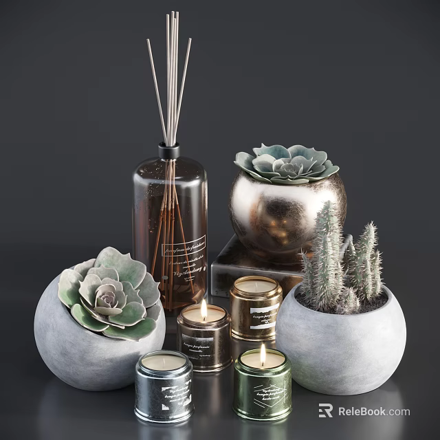 Succulent And Cactus Potted Plants In Concrete Metal Pots With Decorative Candle Diffuser Home Decor 3d model 